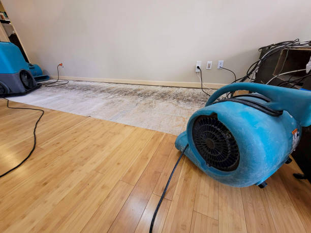 Professional Water Damage Repair technician working in Canova, SD